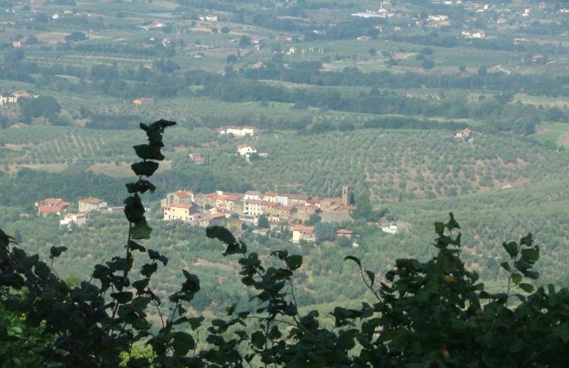 Podere Calistri Larciano Eksteriør bilde